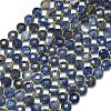 Natural Sodalite Beads Strands G-K389-B31-01-1