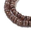 Dyed Natural Freshwater Shell Beads Strands BSHE-G039-07I-3