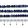 Dyed Natural Lapis Lazuli Beads Strands G-M403-A30-01-5