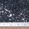 MIYUKI Round Rocailles Beads X-SEED-G007-RR2009-4