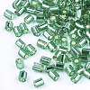 FGB Grade A Glass Seed Beads SEED-S022-04A-18-2