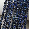 Natural Lapis Lazuli Beads Strands G-L587-B03-02-10
