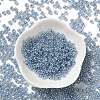 Glass Seed Beads X1-SEED-H002-E-A1415-2