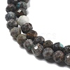 Natural HuBei Turquoise Beads Strands G-G140-A05-05-3