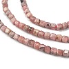 Natural Argentina Rhodonite Beads Strands LS-G-Z057-A01-01-3