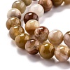 Natural Petrified Wood Beads Strands G-O199-06A-3