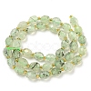 Natural Prehnite Beads Strands G-N342-43-3