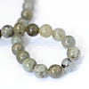 Natural Labradorite Round Bead Strands X-G-E334-8mm-19-3