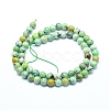 Natural Variscite Beads Strands G-G823-02-6mm-2