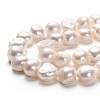 Natural Cultured Freshwater Pearl Beads Strands PEAR-L033-50-01-2