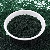 MIYUKI Round Rocailles Beads SEED-JP0008-RR0156-2
