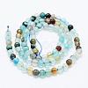 Natural Agate Beads Strands X-G-E469-12P-2