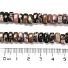 Natural Rhodonite Beads Strands G-Q167-B07-01-5