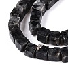 Natural Larvikite Beads Strands G-T139-8x8-25A-3