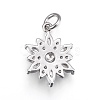 Brass Micro Pave Cubic Zirconia Pendants ZIRC-F091-02-P-3