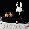 Acrylic Wall-Mounted Adhesive Camera Display Shelf with Iron Screw ODIS-WH0002-86B-5