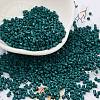 Baking Paint Glass Seed Beads X-SEED-S042-05B-67-1