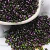 Spray Painted Glass Seed Beads SEED-F005-07A-04-1