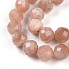 Natural Sunstone Beads Strands G-S345-10mm-23-4