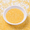 MIYUKI Delica Beads X-SEED-J020-DB1861-2
