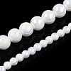 Electroplate Opaque Glass Beads Strands GLAA-T032-P4mm-AB02-4