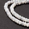 Natural Trochid Shell/Trochus Shell Beads Strands X-SSHEL-O001-24B-02-3