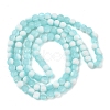 Frosted Crackle Glass Beads Strands GLAA-U001-6mm-M08-3