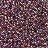 TOHO 6/0 Round Beads X-SEED-TR06-0166B-3