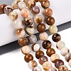 Natural Wood Lace Stone Wooden Jasper Beads Strands G-B128-A04-04-1