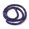 Shell Beads Strands SSHEL-E571-49F-4