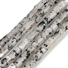 Natural Seame Jasper Beads Strands G-P600-B11-01-2