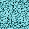 TOHO 8/0 Round Beads SEED-TR08-0055F-2