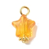 Transparent Acrylic Pendants PALLOY-JF01834-03-2