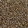 MIYUKI Delica Beads SEED-MY11-DB2396-3