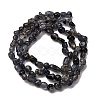 Natural Iolite/Cordierite/Dichroite Beads Strands G-I389-A34-01A-3