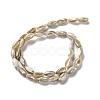 Natural Freshwater Shell Beads Strands SSHEL-B002-13-2