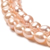 Natural Cultured Freshwater Pearl Beads Strands PEAR-E016-071-3