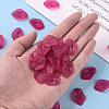 Transparent Frosted Acrylic Pendants MACR-S371-03A-706-5