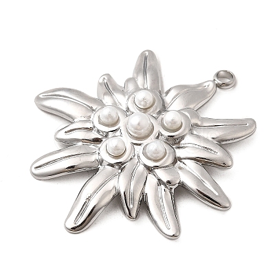 304 Stainless Steel Pendants STAS-Z149-05B-P-1
