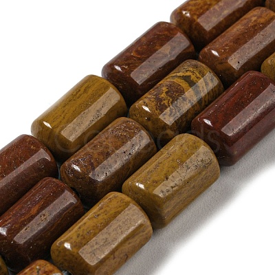 Natural Petrified Wood Beads Strands G-M420-E06-03-1