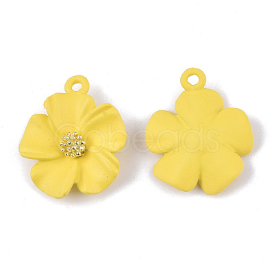Spray Painted Alloy Pendants PALLOY-N0147-03D-1
