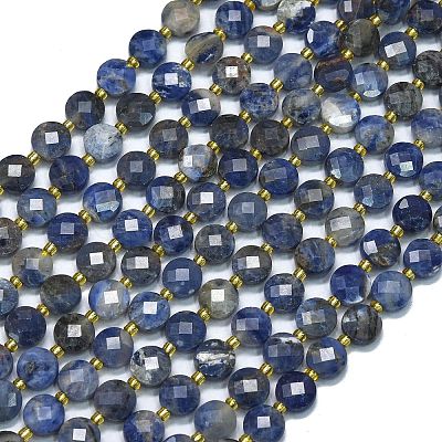 Natural Sodalite Beads Strands G-K389-B31-01-1