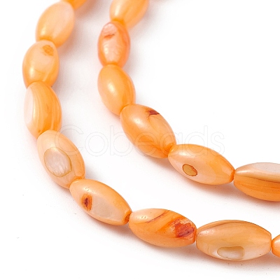 Natural Freshwater Shell Dyed Beads Strands SHEL-M018-13-08-1