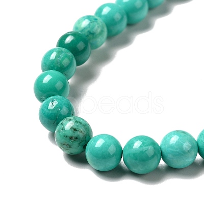 Dyed & Heated Natural Magnesite Beads Strands G-G924-01A-02-1