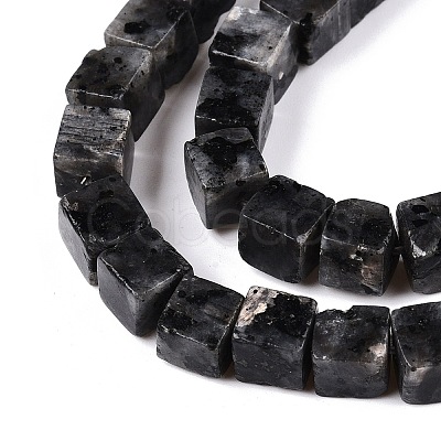 Natural Larvikite Beads Strands G-T139-8x8-25A-1