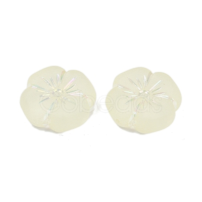 Frosted Transparent Acrylic Beads X1-OACR-P029-19B-03-1