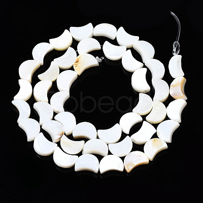 Natural Freshwater Shell Beads Strands SHEL-N026-151-1