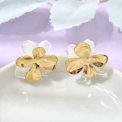 304 Stainless Steel Resin Stud Earrings SA-CBAF6AD-18G-C-1