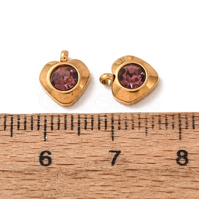 304 Stainless Steel Charms STAS-I165-05G-01-1