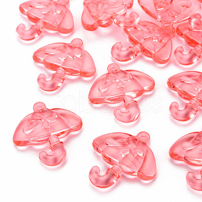 Transparent Acrylic Pendants TACR-T024-01B-910-1
